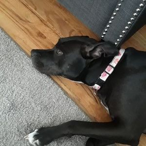 Meet your Posher, Susanne